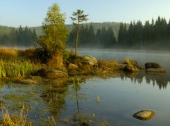 Niebieskie Źródła w Polsce. Zachwycający rezerwat dostępny za darmo