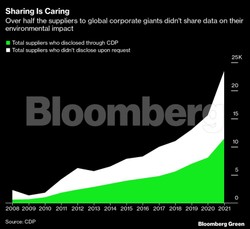 Wielkie korporacje i greenwashing. „Zielone” marki mają problem z „brudnymi” dostawcami