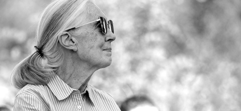 Odeszła legenda. Zmarła Jane Goodall, słynna badaczka szympansów