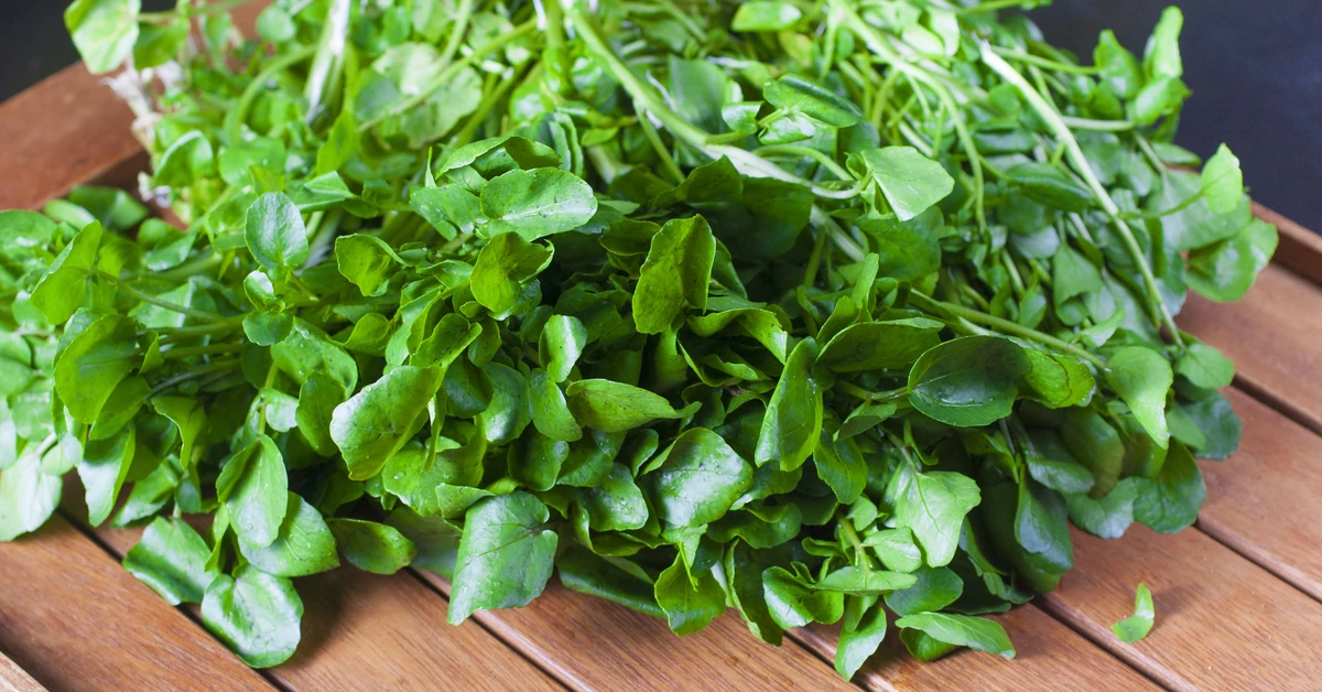 Oto najzdrowsze warzywo świata. Polacy rzadko je jedzą