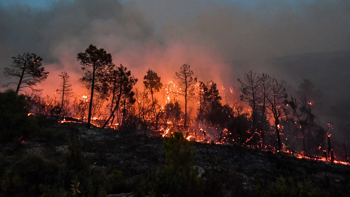 Zmiany klimatu są dziś odczuwalne nie tylko w płonącej Grecji, ale na każdej szerokości geograficznej