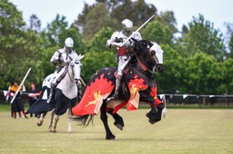Wielki i trudny QUIZ z HISTORII. Jeśli dopisze Ci szczęście, to zdobędziesz 15/20