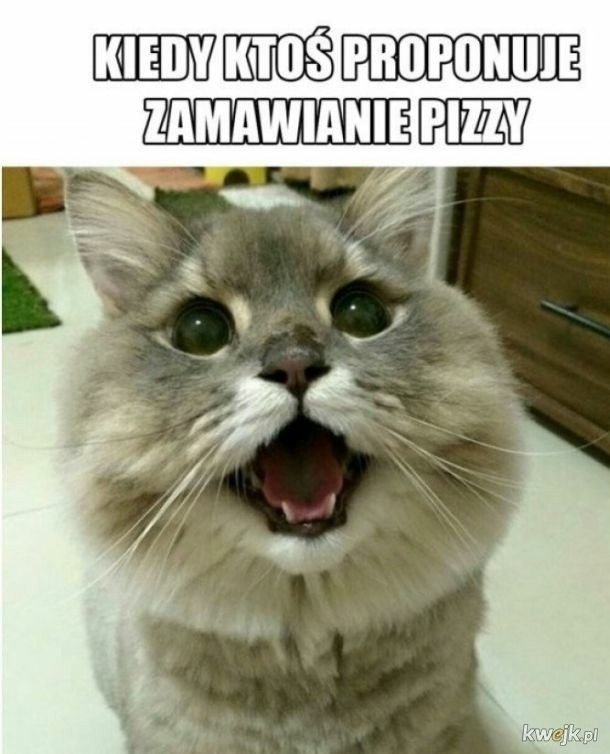 Najlepsze memy o pizzy