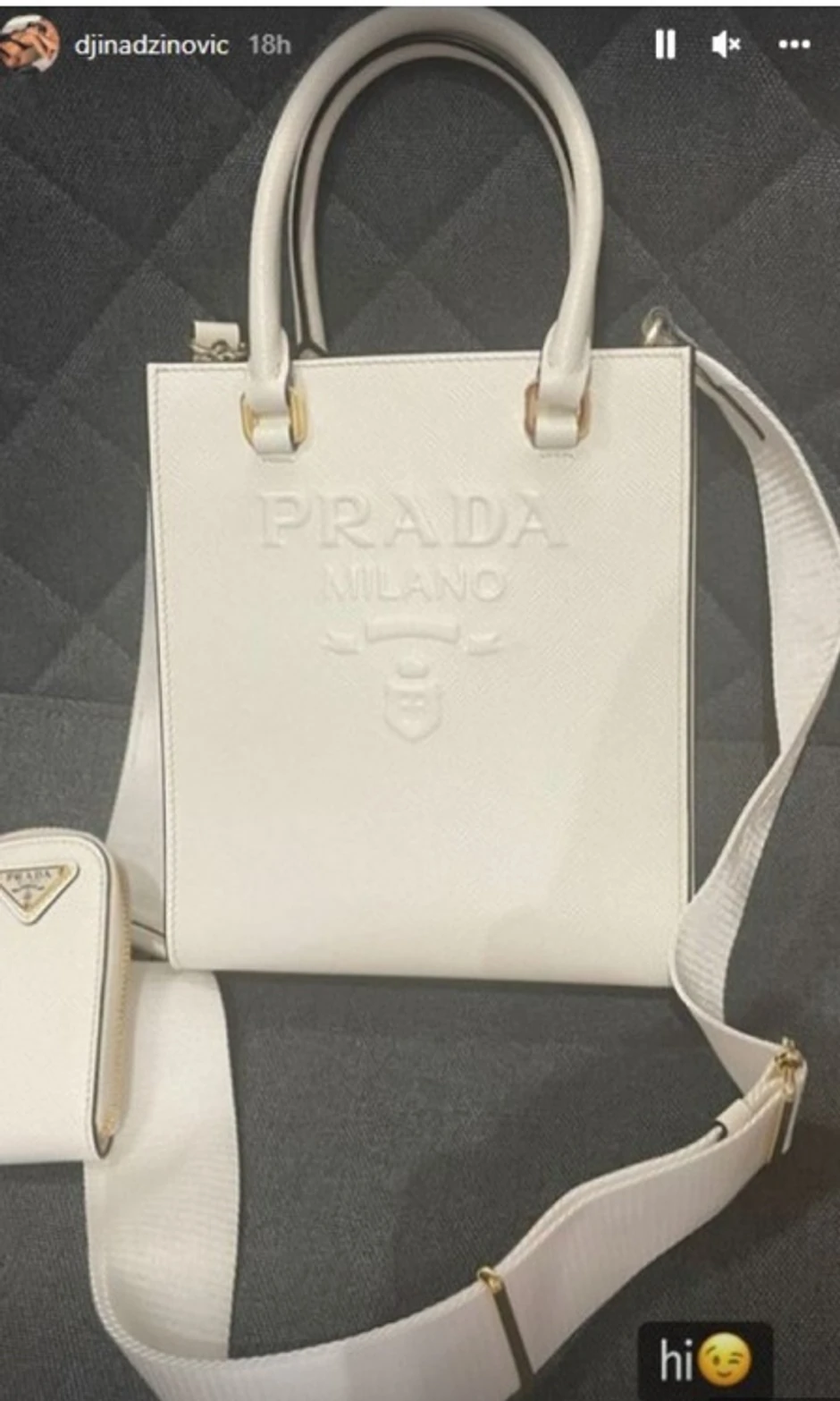 Objava Đine Džinović 