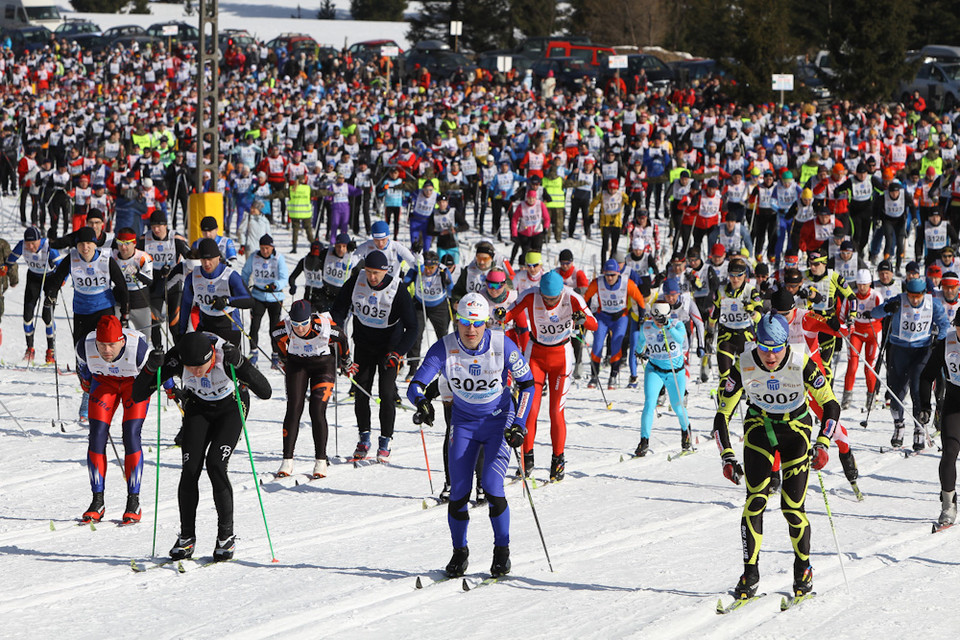 Bieg Piastów 2011