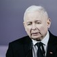 Prezes PiS Jarosław Kaczyński