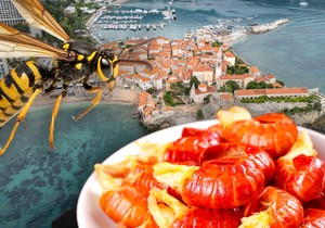 Ubod stršljena i trovanje gamborima na crnogorskom primorju