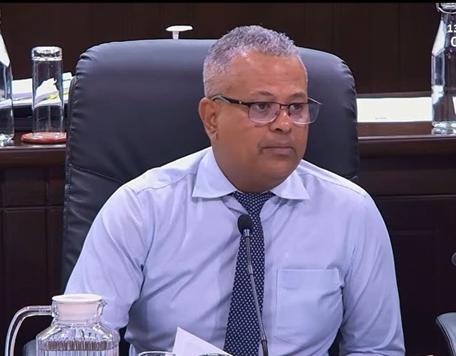 Vice-President Pillay disclosed the figures in response to a Private Notice Question (PNQ) from Leader of the Opposition Bernard Georges. (National Assembly YouTube)