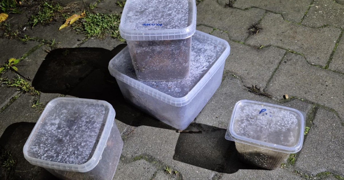 Wyrzucał śmieci, zauważył dziwne pudełka. Gdy je otworzył, zamarł