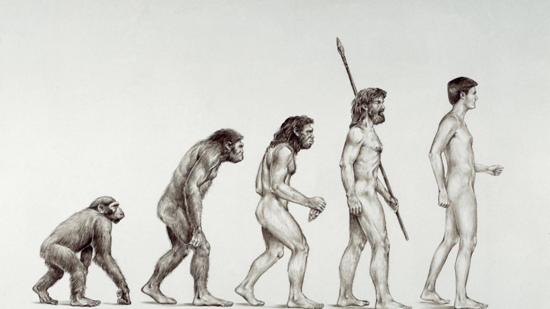 Evolucija čoveka u 10 potpuno suludih verzija