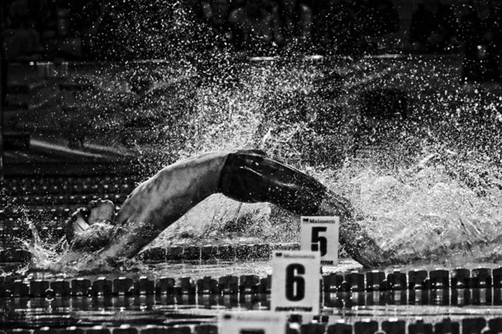 Autor: Łukasz Kaczanowski, „Kurier Lubelski” / „Nowy Tydzień” <br>
Lublin. Pierwsze od prawie 40 lat mistrzostwa Polski w pływaniu na nowo otwartym basenie Aqua Lublin. Jeden z pływaków biorący udział w sztafecie mieszanej 4x50 m. 17 grudnia 2015
<br><br>Źródło fot. <a href='http://www.grandpressphoto.pl/prasa/' style='color: blue'> Grand Press Photo 2016</a>