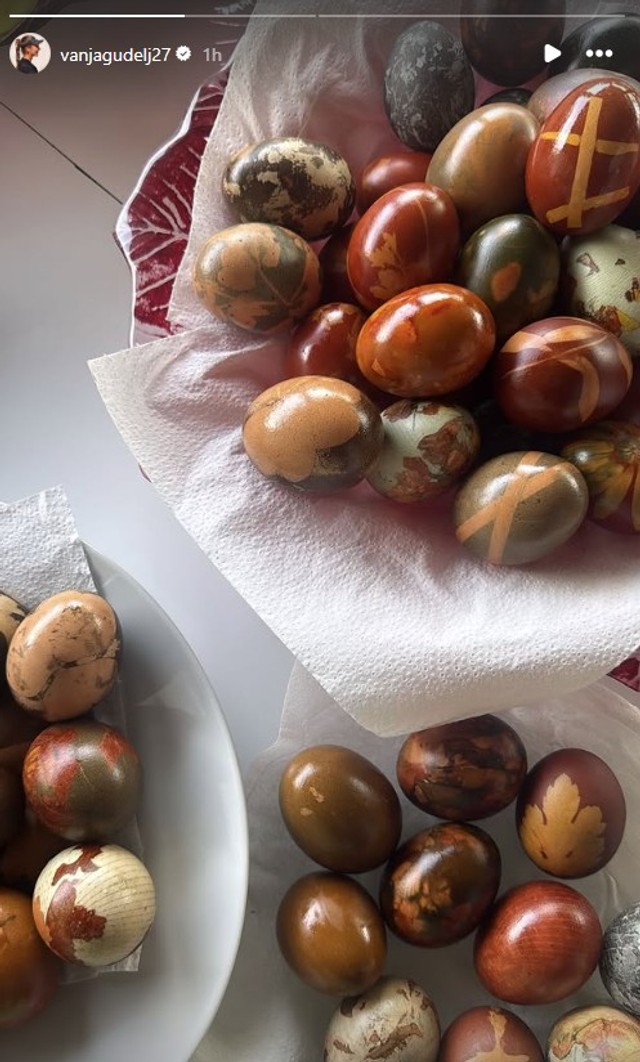 Vanja Gudelj (Foto: Instagram/vanjagudelj27)