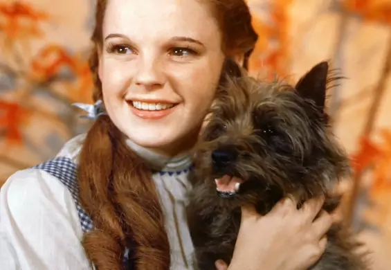 Dzieciństwo Judy Garland. Matka podawała jej amfetaminę, a wytwórnia kazała palić papierosy