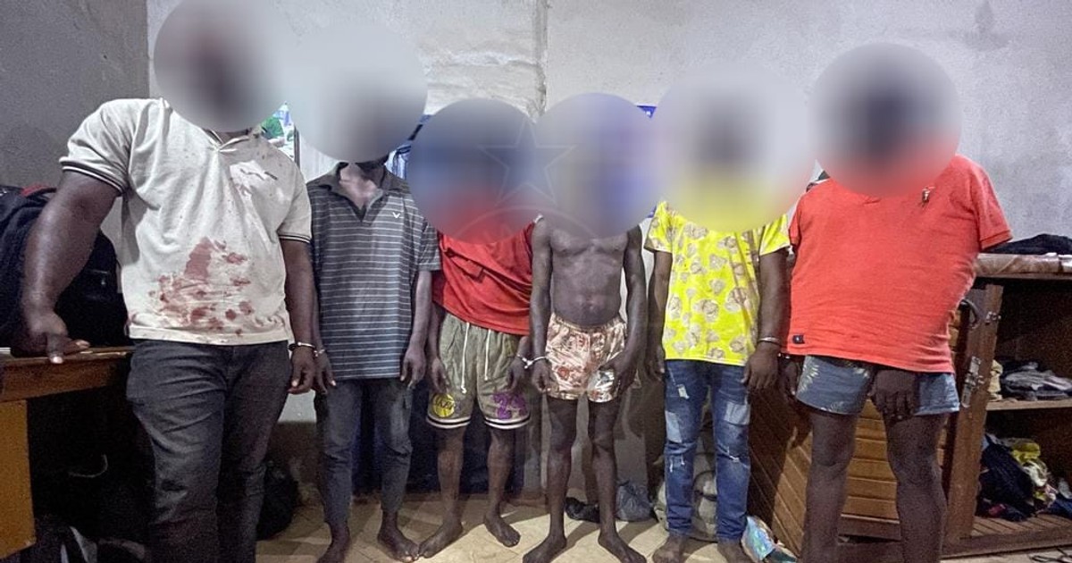 Police arrest a gang of six armed robbers in the Bono East Region - Vimarsana News