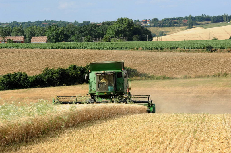 Na 27 państw członkowskich Unii Europejskiej przypada z reguły około 20 proc. światowej produkcji zbóż.