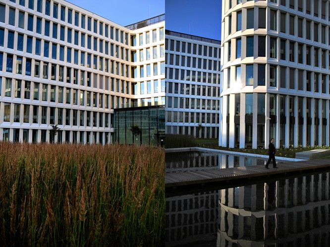 Powstał na miejscu byłych ogródków działkowych. Cały teren ma sześć hektarów, z czego 60 proc. to tereny zielone.