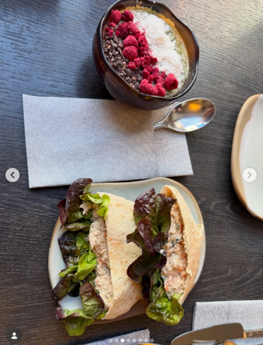 Jedan dan Ane Antić