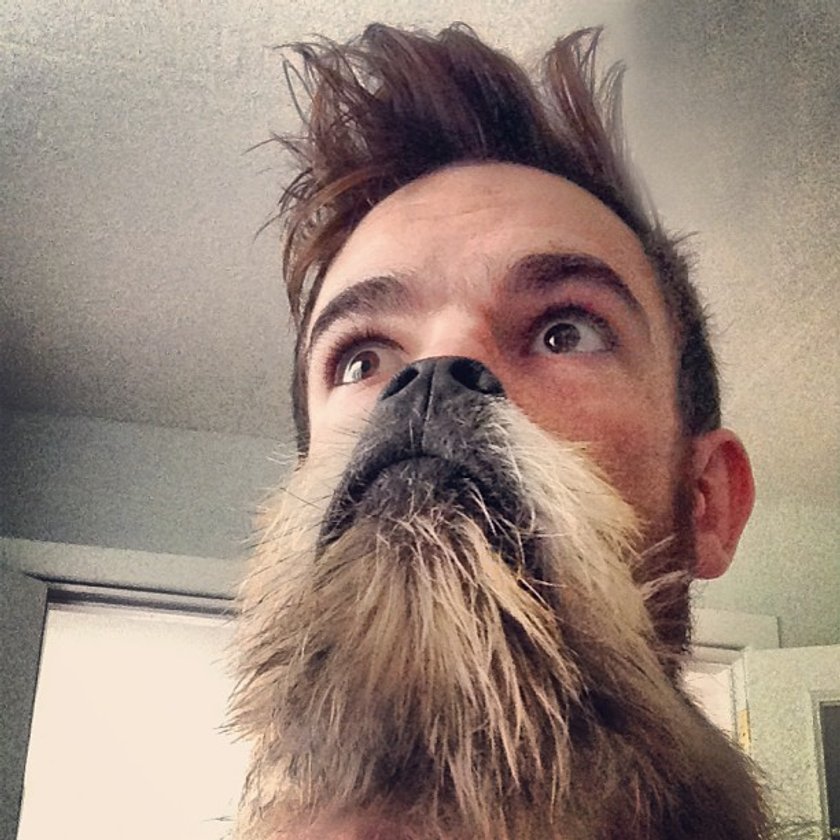 Cats Dogs Beards