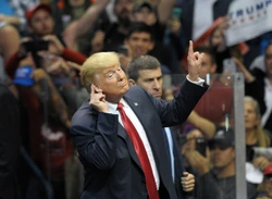 Woś: Wnioski z trumpowego. Co się stało z wypłaconymi pieniędzmi?