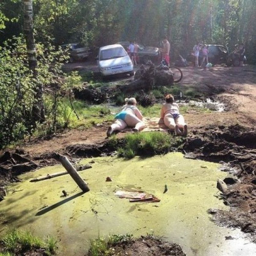 Wakacje pod gruszą