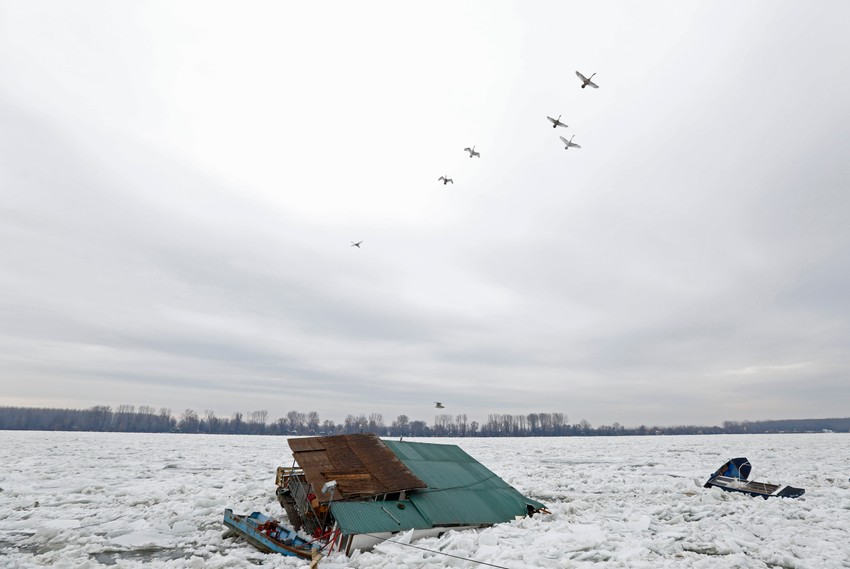 Led na Zemunskom keju