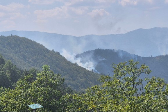 (VIDEO) POŽAR NA STOLOVIMA NE JENJAVA! Žestoka borba sa vatrenom stihijom: Dve stvari stvaraju problem vatrogascima