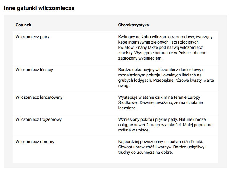 Gatunki wilczomlecza - kb.pl