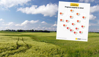 Optymistyczne prognozy na początek roku szkolnego. Lato nie powiedziało ostatniego słowa [POGODA]