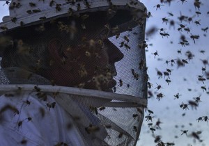 492431_20140710reutersadrees-latifcolumbia-fallsdi006619330