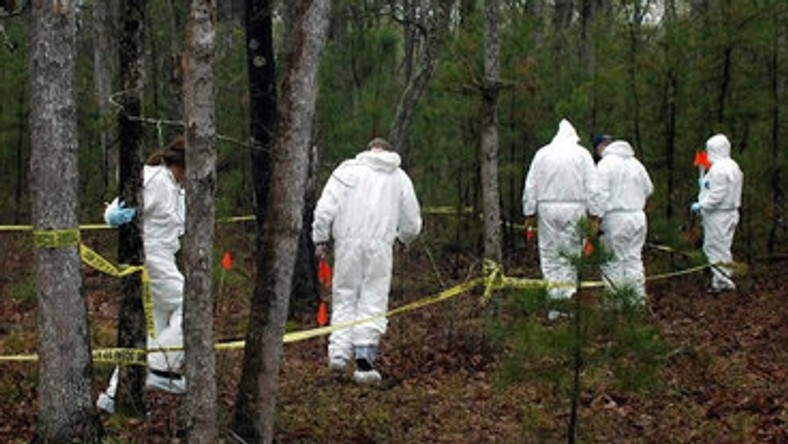 Forensic officers in a forest (Twitter)