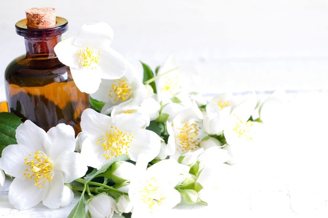 Jasmin