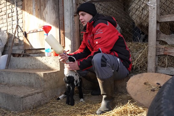 (VIDEO) Miloš živi na padinama Fruške gore, ima 21 godinu i stado od 300 ovaca! "I školovanje sam finansirao od toga, nisam zavisio ni od majke ni od oca"