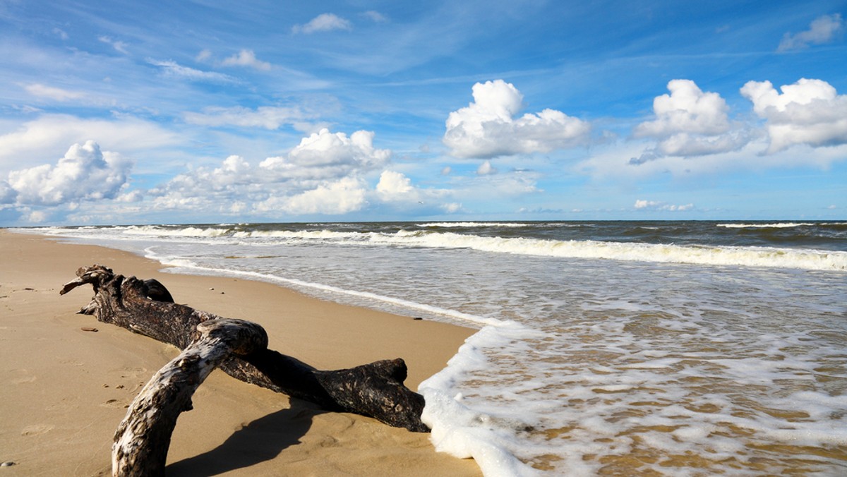 To już trzeci dzień z sinicami na trójmiejskich kąpieliskach. Po porannych kontrolach sanepidu zdecydowano o otwarciu plaży w Sopocie Kamiennym Potoku. W ciągu dnia sytuacja może się zmienić.