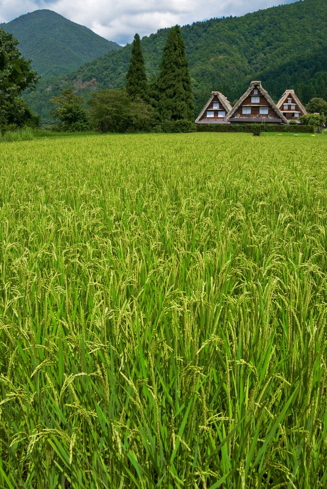 Shirakawa-go