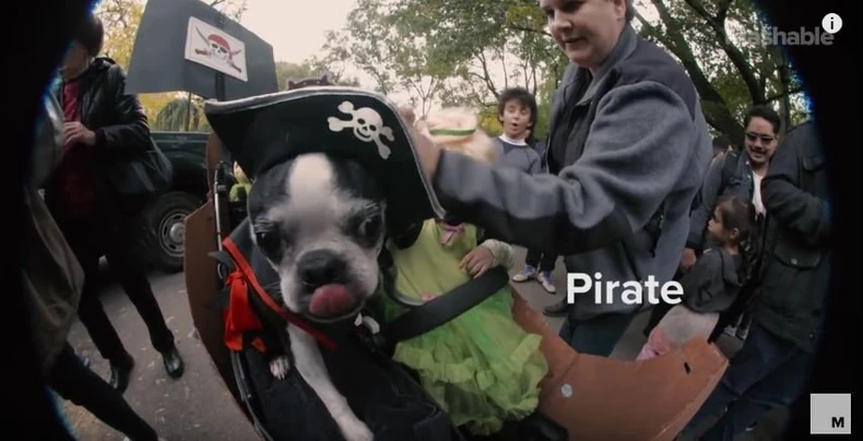 686646_pseca-noc-vestica-foto-youtube-mashable