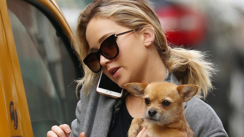 Jennifer Lawrence újra együtt a volt pasijával?