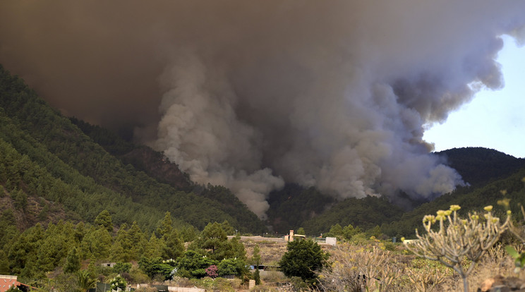 Rettenetes erdőtűz tombol Tenerifén / Fotó: MTI/AP/Europa Press