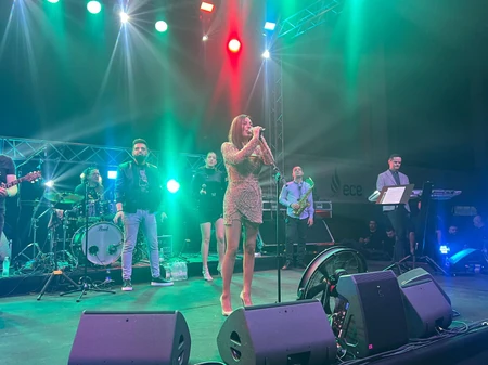 Ceca Ražnatović