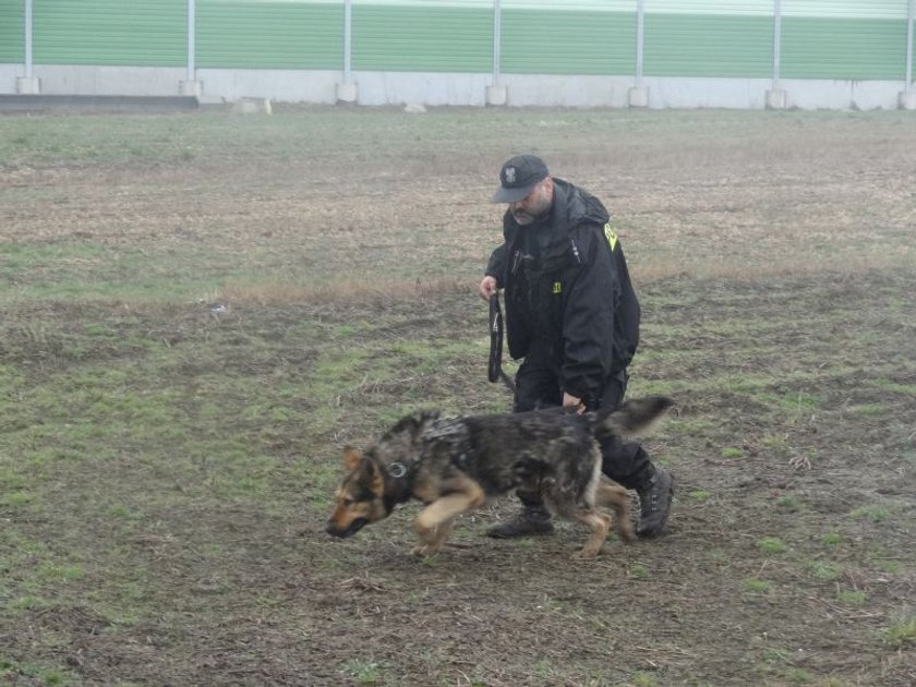 Znaleźli zaginioną po śladach stóp