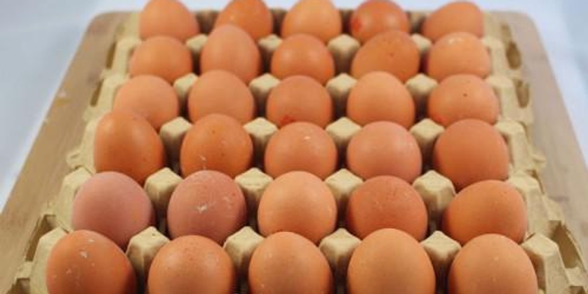 Egg prices go up by 50 following rising cost of poultry feed Pulse Ghana
