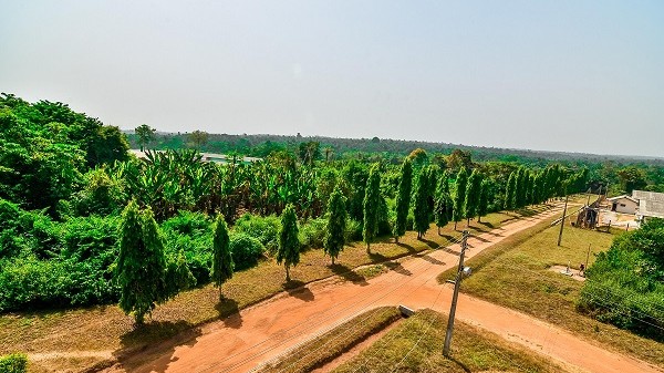 Chi Farms upgrades its GPS farm - Vimarsana News