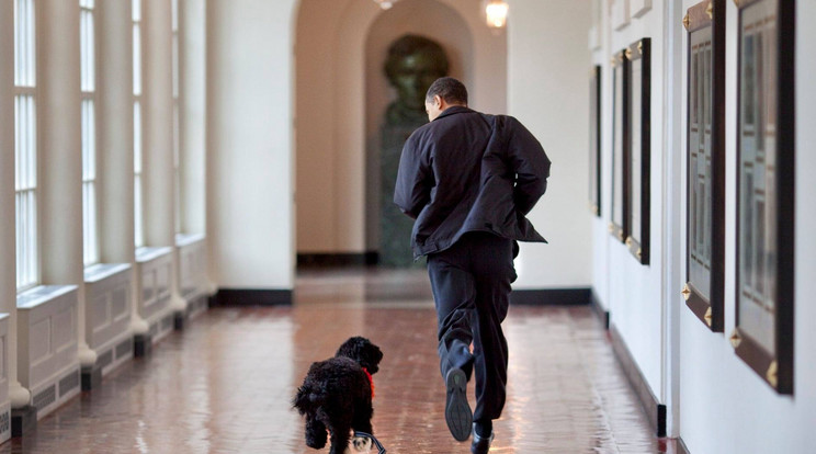 Bo jól érezte magát a Fehér Házban /Fotó: Barack Obama FB-oldala
