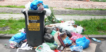 Jak Łódź wygląda po śmieciowej ustawie? Fatalnie! Zobacz