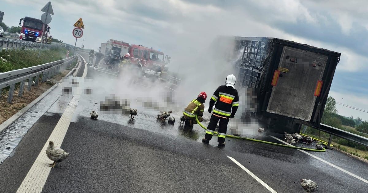 Makabra na S19: Tir z 5 tys. kur zapłonął w drodze do Lublina