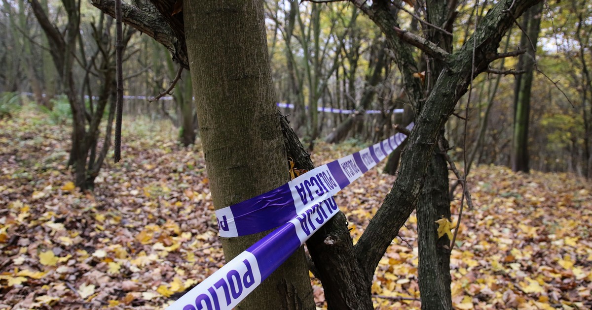 Brutalne morderstwo w kędzierzyńskim lesie: 49-latka zabita przy psie – śledczy szukają sprawcy