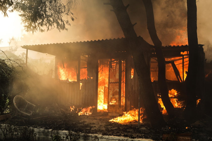 Forest Fire in Greece