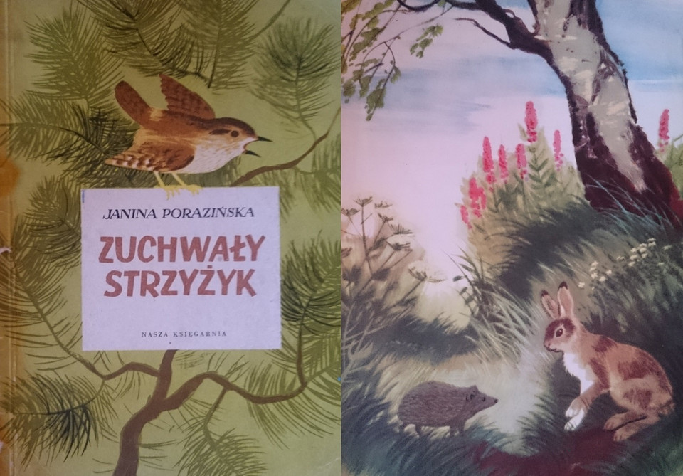 "Zuchwały strzyżyk"