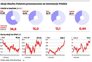 Inwestycje Polskie: państwo da akcje, ale zachowa kontrolę