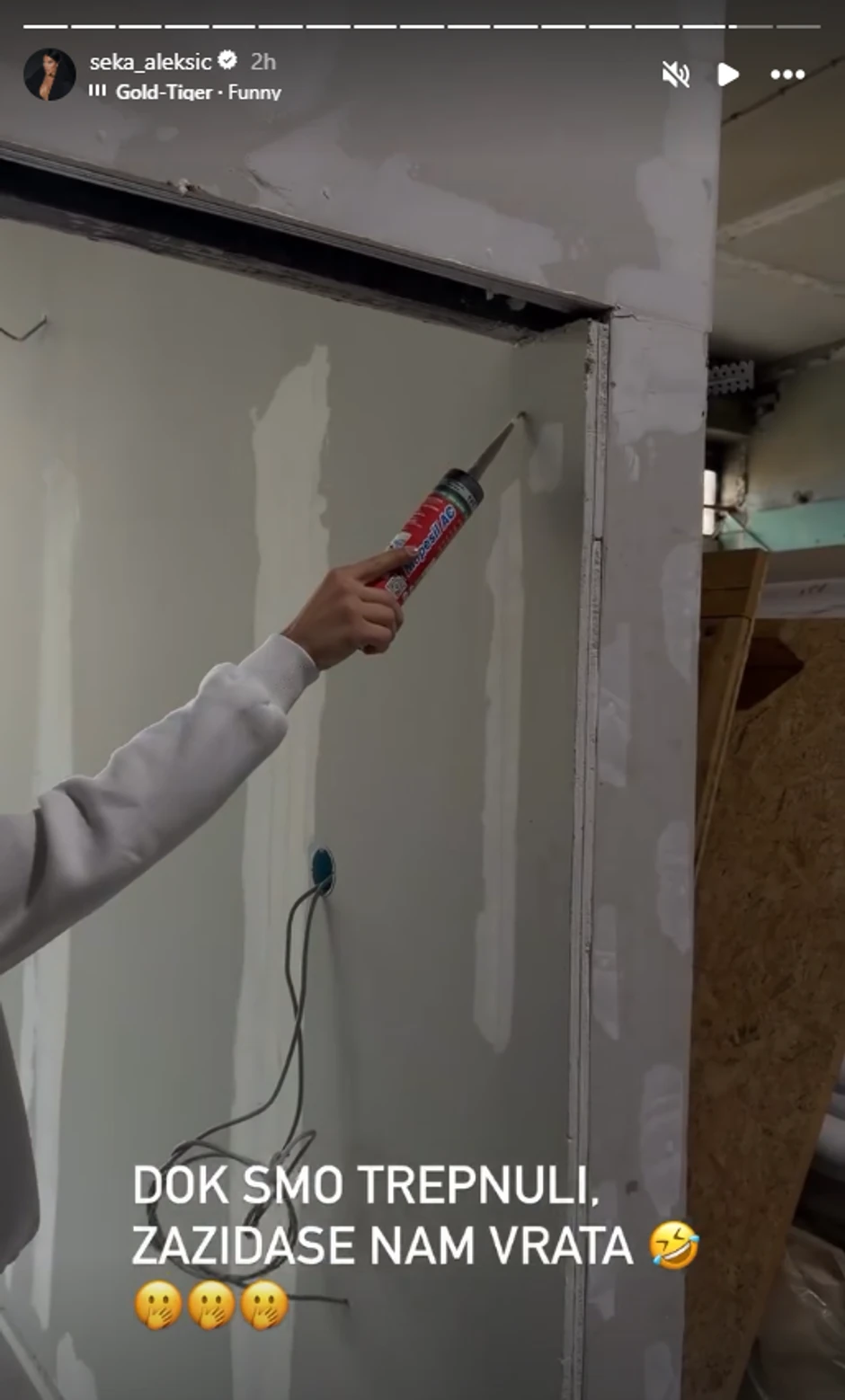 Seka Aleksić, objava