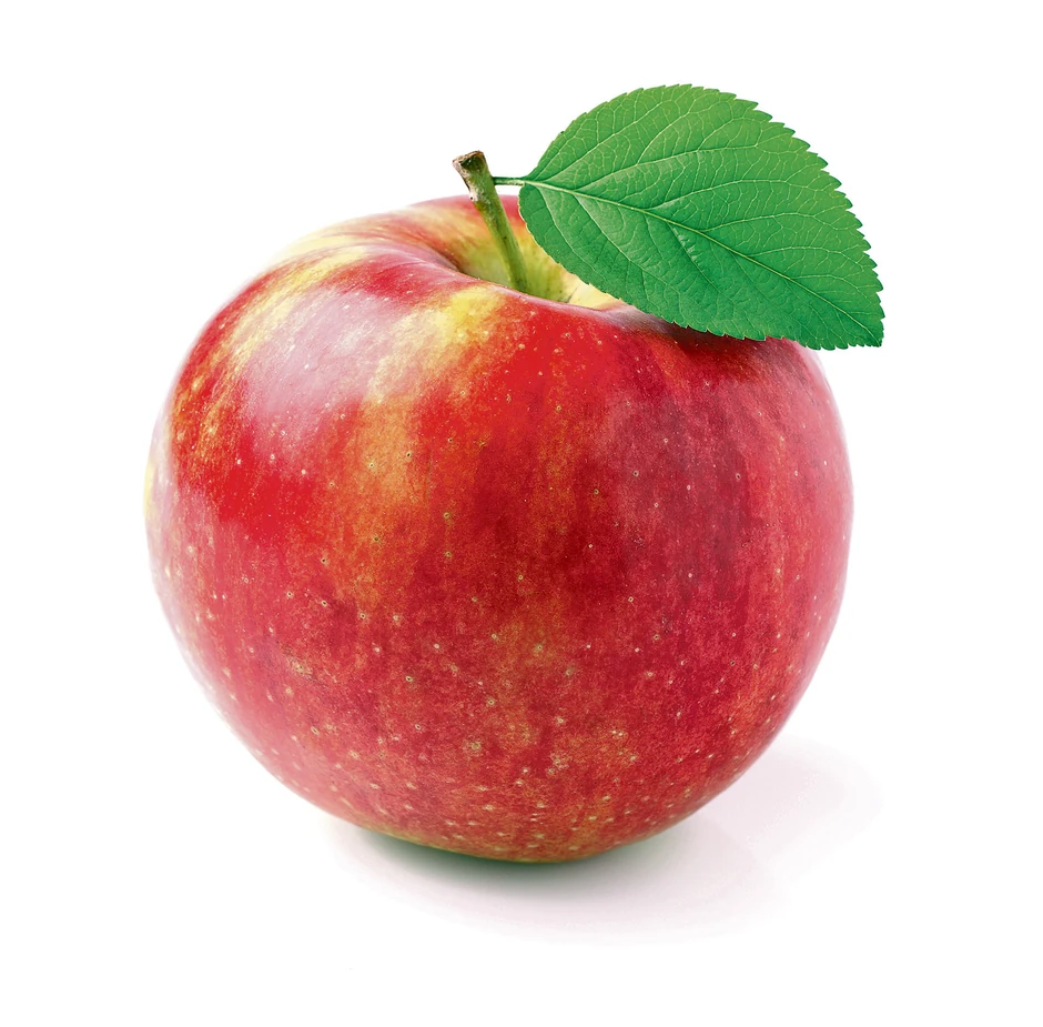 Odakle dolazi: Poljska, Italija, Makedonija